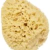 Cartel Paris Natural Sea Sponge 14 Cm -Care Product Store cartel paris natural p44115