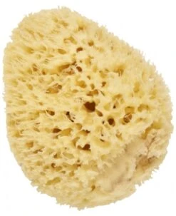 Cartel Paris Natural Sea Sponge 14 Cm