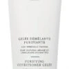 Christophe Robin Purifying Conditioner Gelée 200ml -Care Product Store christophe robin purifying p86832