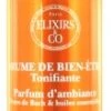 Elixirs & Co Energy Well-Being Mist Invigorating 100ml -Care Product Store elixirs co energy 23669