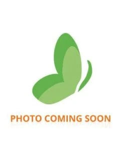 Noreva Bergasol Sublim Preparator 2 X 30 Capsules (to Use Preferably Before The End Of 11/2023)